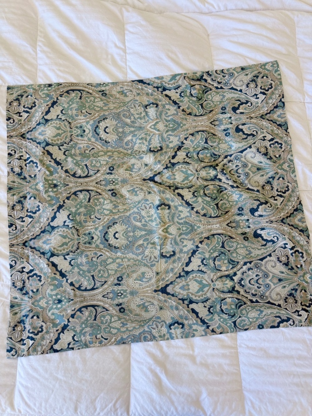 Pottery Barn Mackenna Paisley Euro Sham